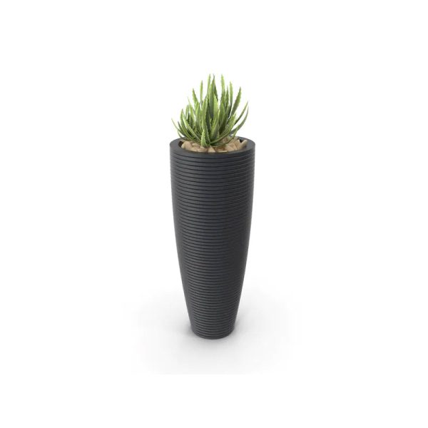 Green Tall Plant